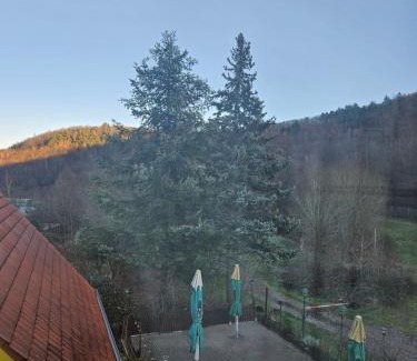 Annweiler am Trifels Hotel | Naturfreundehaus