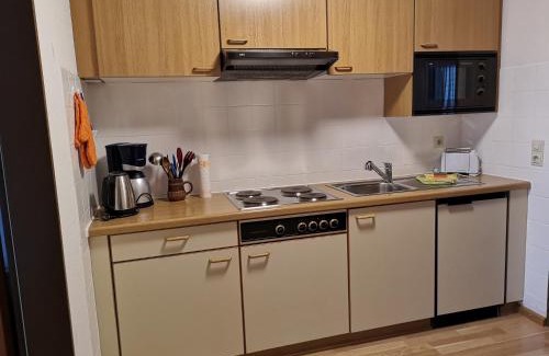 Menzenschwand-Hinterdorf Apartment | Naturidyll am Fluß - Ferienhaus Albmatte - großer Garten zum grillen und entspannen-direkt neben dem Radon Revitalbad mit Sauna und Thermalbecken