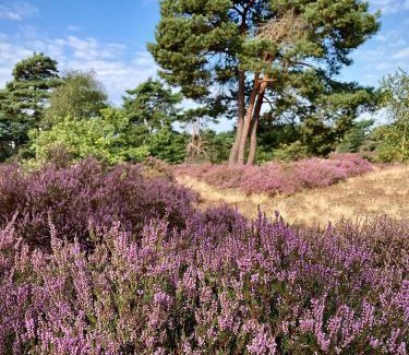 Wekerom Villa | Natuur Villa met Hottub | 4 personen - Resort Valley