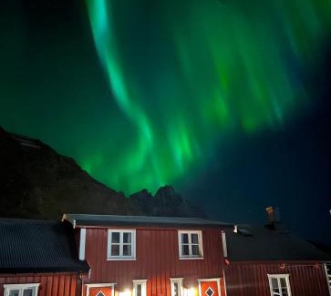 Ballstad Apartment | Naustplassen Rorbuer