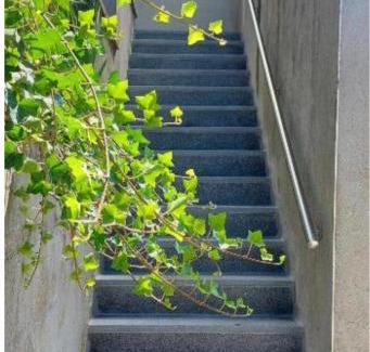 Bastogne House | Nazareth logement Un Magnifique logement de vacances