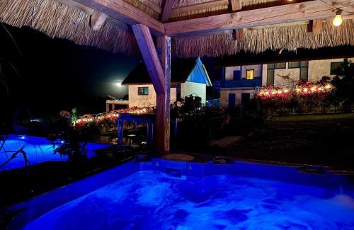 Dunavatu de Jos Hotel | Nena Art Resort