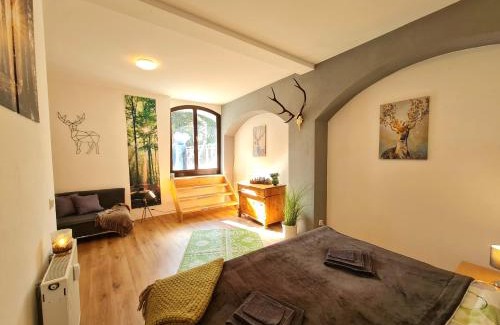 Altstadt Apartment | NEU: Großzügige Citywohnung mit XXL Dachterrasse!
