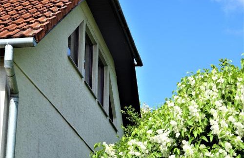 Broda Apartment | Neubrandenburg-Wasser,Natur,Zentrum,Ladestation für E-Autos