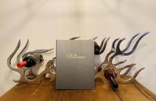 Feldberg Apartment | Neue Ferienwohnung mit Whirlpool und Sauna in der Residenz Grafenmatt inklusive HochschwarzwaldCard