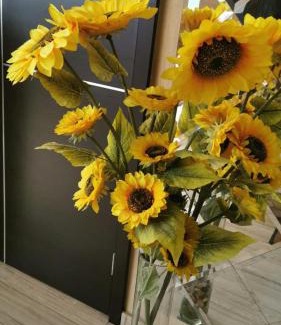 Sector 2 Hotel | Nevis Fundeni