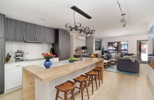 Aspen Hotel | New 2 BR 2.5 Bath Luxurious Aspen Mountain Modern!
