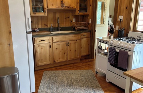Conifer Cabin | New! Aspen will turn soon! 1 hr from DIA! Gas firepit & Wifi