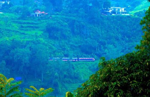 Ella Cabin | New Green View Resort