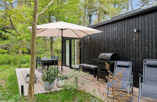 Frederiksvaerk House | New house near Asserbo Plantation and Arresø