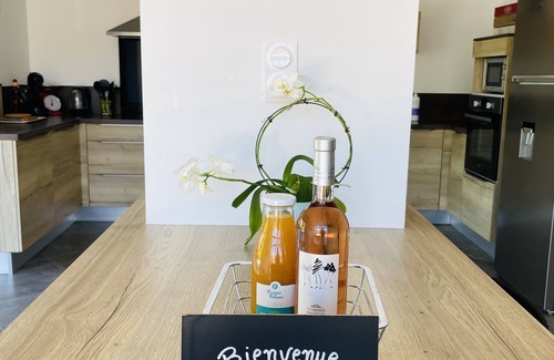 Morieres-les-Avignon Other | NEW! MAS WITH PRIVATE SWIMMING POOL Classified 4* by Gîtes de France