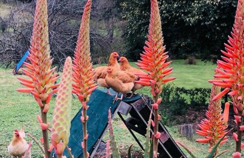 Curry's Post House | Newstead Farm - Country Cottages