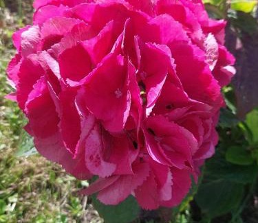 Kilmihil House | Newtown