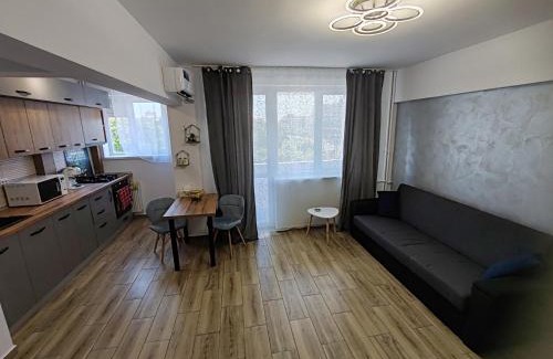 Ploiesti Apartment | NGR Residence
