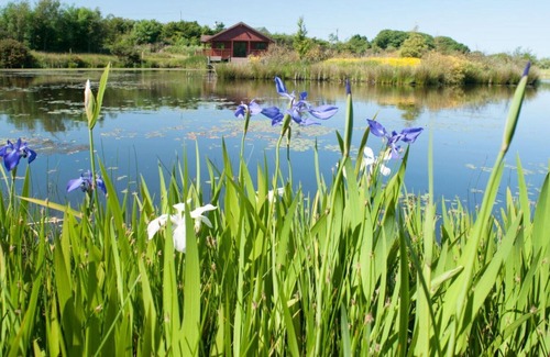 Llanerchymedd House | Nice apartment in villa for 2 guests with WIFI, TV, pets allowed and parking