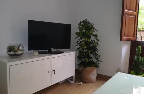 Granada City Center Apartment | Nice apartment in the center of Granada