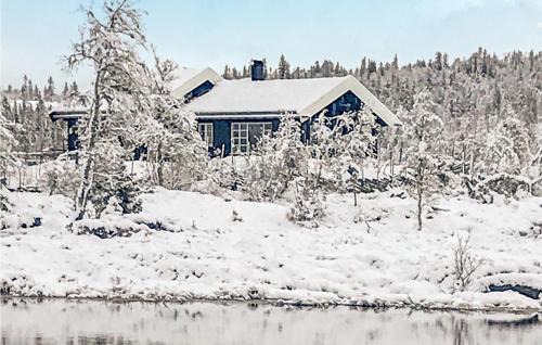 Rollag House | Nice Home In Veggli With Wifi