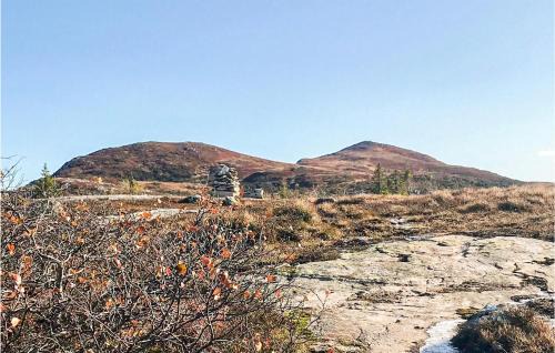 Rollag House | Nice Home In Veggli With Wifi