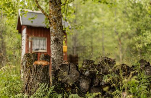 Viru-Nigula Other | Niiduveere glämping