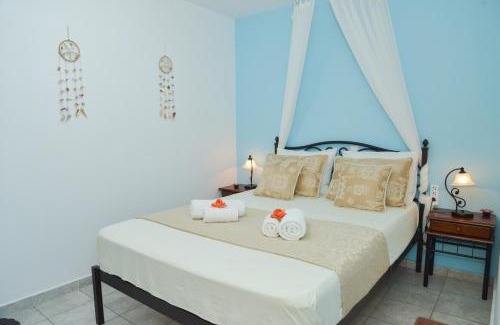 Adamas Apartment | nikola's house