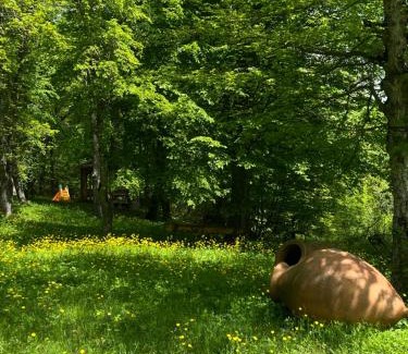 Tbilisi House | Nina's winery forest house in Kiketi