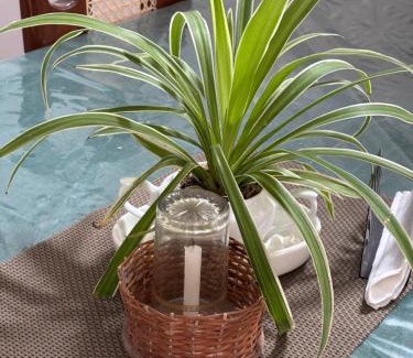 Nalagasdeniya House | Nishu Villa Hikkaduwa