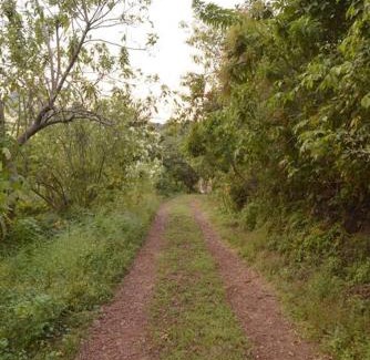 Tepoztlan Apartment | No reservar