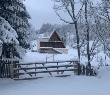 Valea Doftanei Villa | Noa