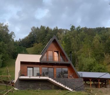 Valea Doftanei Villa | Noa