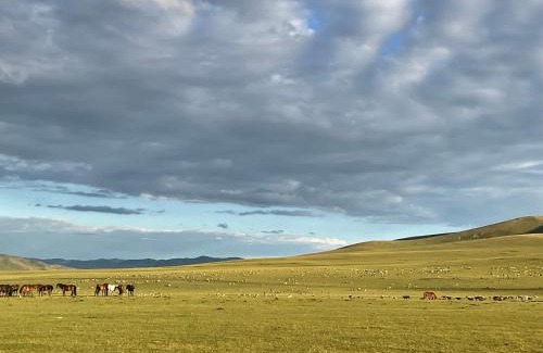 Uvurkhangai House | Nomado Steppe - Tuvkhun host family