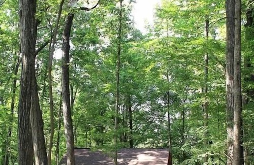 Boonville Cabin | North Carolina Private Vineyard Cabin - winery, honeymoon, hiking, fireplace