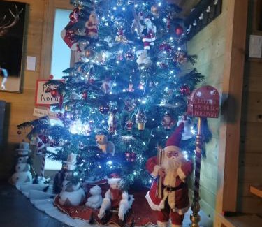 Xonrupt-Longemer Ski Chalet | Nouveau Chalet M.META 12 pers sauna,jacuzzi,billard