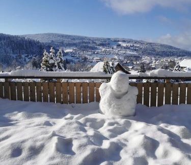 Xonrupt-Longemer Ski Chalet | Nouveau Chalet M.META 12 pers sauna,jacuzzi,billard