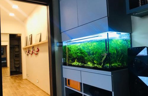 Ostrava Apartment | Nový apartmán v Ostravě u Mišky s akváriem a výhledem z balkonu na Beskydy