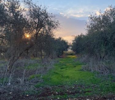 Sede Ilan Apartment | Novo - Rural Accommodation Unit