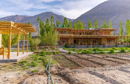 Nubra Valley House | Nubra Ecolodge