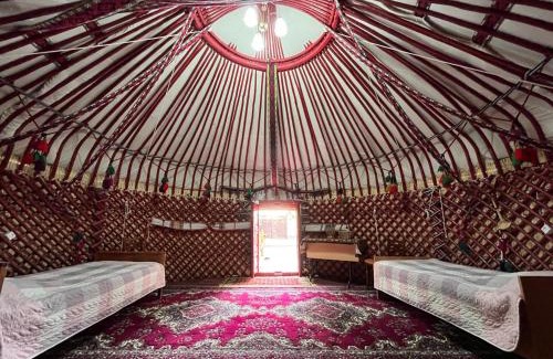 Nukus House | NUKUS GUEST HOUSE