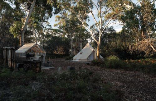Coles Bay Other | Numie - Freycinet Peninsula - Glamping