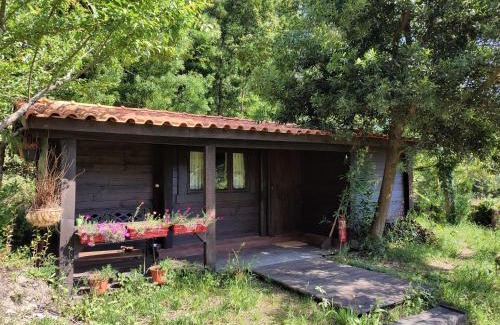 Paredes de Coura Ski Chalet | O Cantinho de Coura - a cabana