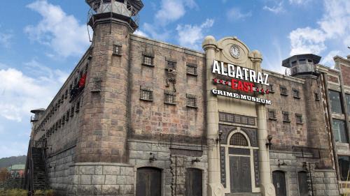 Pigeon Forge Ski Chalet | Oak Tree Lodge #3 by Eden Crest Vacation Rentals