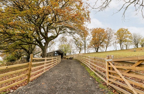 Crossgates Cottage | Oak Tree View