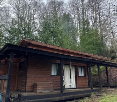 Pucon House | Oasis Tiny House & Tinaja