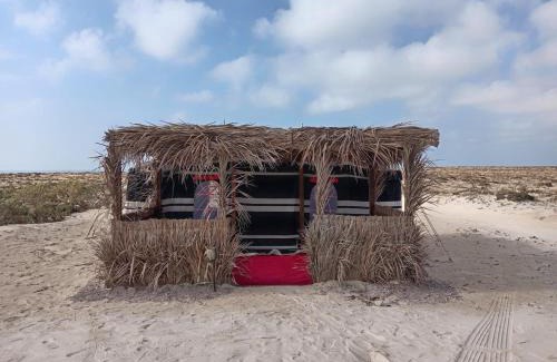 Ash Sharqiyah South Governorate Other | Ocean Camp