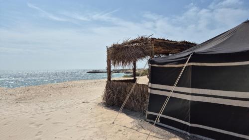 Ash Sharqiyah South Governorate Other | Ocean Camp