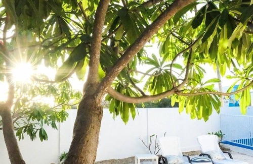 Pos Chiquito Apartment | Ocean Front Property - Villa 3 Aruba with Hot Tub