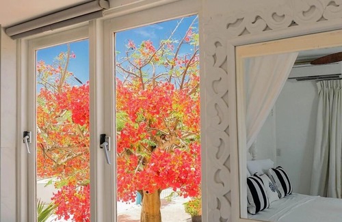 Pos Chiquito Apartment | Ocean Front Property - Villa 5 Aruba Stunning