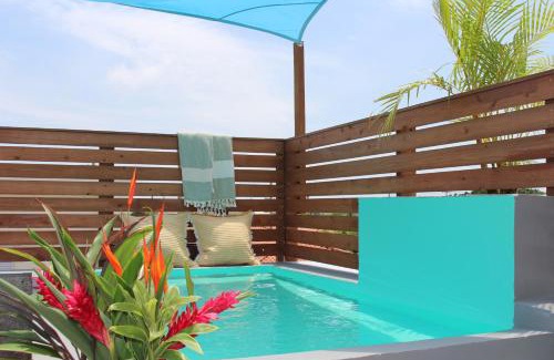 Shiraho Villa | Ocean Palm Villa Ishigaki - Ocean Views and Starry Nights
