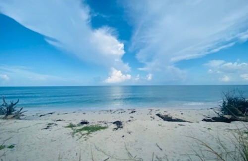 Green Turtle Cay House | Oceanfront brand new home with large deck and BBQ. Steps away from sandy beach!