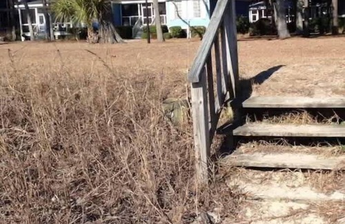 Melrose on the Beach House | Oceanfront Cottage on Daufuskie Island