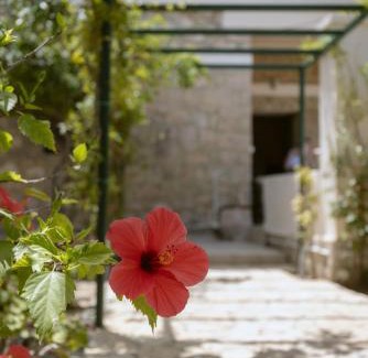 Aegina Town House | Oikia Ouranou